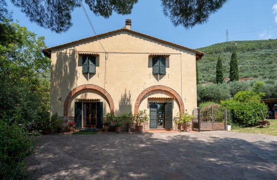 Vendita Casale Zona tranquilla San Giuliano Terme Toscana
